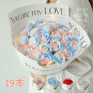 \[vt[ Mtg v[g w ̓ ̓ Ǝ ԑ a ЂȍՂ  o u[P AEj \  j  ސEj v`Mtg RpNg ͂Ȃ t