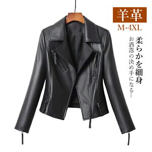 U[WPbg fB[X vW WPbg fB[XR[g  אg rv 20 30 40 50  傫TCY M L XL 2XL 3XL 4XL u]  tH ~  R[g C_[