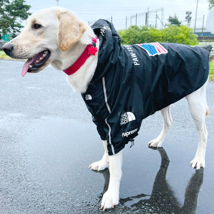 楽天市場 ４色 犬服レインコートパーカー 小型犬中型犬大型犬 送料無料 反射テープアウトドア ウインドブレーカー ドッグウェアペット服スポーツ犬用品ファッションカッパ梅雨時期adidog Pupreme Thedogfaceu S Apetwariss イチカワクリーニング 布団丸洗い