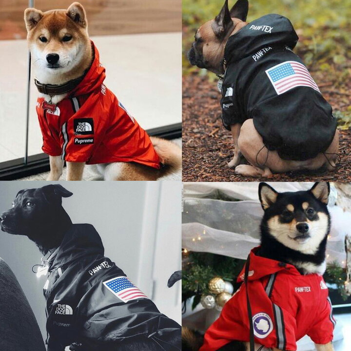 予約販売品 モンクレール ダウン 洋服 中型犬 犬用品