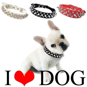 ̎ 2.5cm X^bYEXpCNPUU[ցyz@16cm`48cmΉiCOAijn[hbN|^`^p|yVX[p[SALE