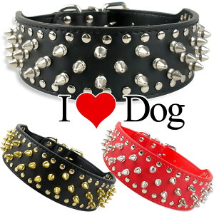 ^`^p ց@5cm X^bYEXpCNyzi40cm-61cmjvyS8FzgQgQ̎PUU[J[ yyVX[p[SALEz