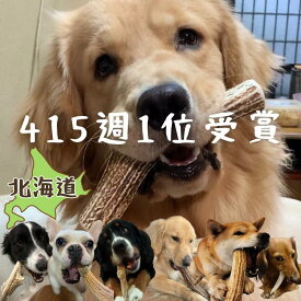 鹿の角 鹿角 北海道産 エゾシカ 犬 おもちゃ ペット おもちゃ TV取材多数 翌日発送 愛玩動物飼養管理士店長 推薦 デンタルケア 400週ランキング1位 大型犬 中型犬 しつけ / いたずら / 甘噛み防止 犬の玩具 口臭対策 エゾシカ鹿角 犬 しつけ