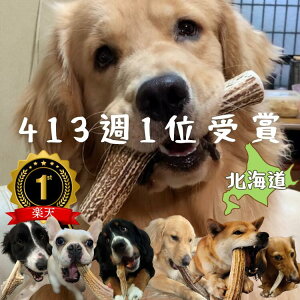 鹿の角 鹿角 北海道産 エゾシカ 犬 おもちゃ ペット おもちゃ TV取材多数 翌日発送 愛玩動物飼養管理士店長 推薦 デンタルケア 400週ランキング1位 大型犬 中型犬 しつけ / いたずら / 甘噛み防