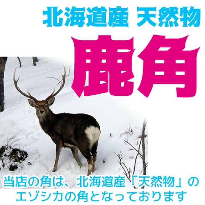 楽天市場 北海道産 25cm 鹿の角 犬のおもちゃ 大型犬 中型犬用送料無料 誕生日プレゼントやしつけ いたずら 甘噛み防止に 犬のおやつドッグガムデンタルケア 蝦夷鹿 口臭対策グッズリピート続出のエゾシカ鹿角 角王 つのおう サステナブル Sdgs イチカワ