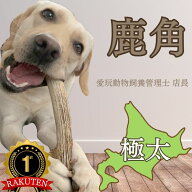 420週ランキング1位 犬のおもちゃ TV取材多数 鹿の角 鹿角 北海道産 エゾシカ 愛玩動物飼養管理士店長 デ…