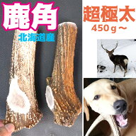 鹿の角 鹿角 【極太タイプ 20cm】 北海道産 エゾシカ 犬のおもちゃ ペットおもちゃ TV取材多数 翌日発送 …