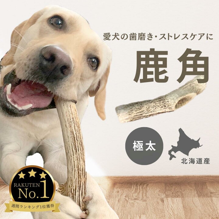 楽天市場】鹿の角 鹿角 北海道産 エゾシカ 犬 おもちゃ ペット 