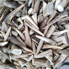 【訳あり】鹿の角　エゾシカの角 端材セット約1kg アクセサリー用クラフト用パーツ素材