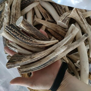y󂠂z̊p@G]VJ̊p [ރZbg1kg ANZT[pNtgpp[cf