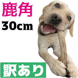 楽天市場 骨 ボーン おもちゃ 犬用品 ペット ペットグッズの通販