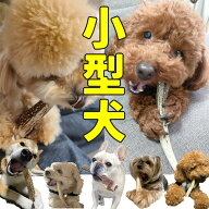 鹿の角 鹿角 北海道産 【小型犬用】 犬のおもちゃ ペットおもちゃ TV取材多数 翌日発送 愛玩動物飼養管理…