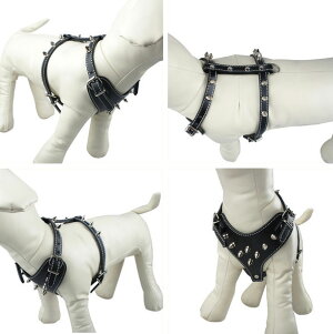 ^pyzX^bYn[lX PUv XpCN@ցEցEJ[@iCOAij