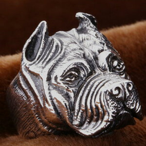 yzsbguObpitbullO@wցyO\AJTCYz