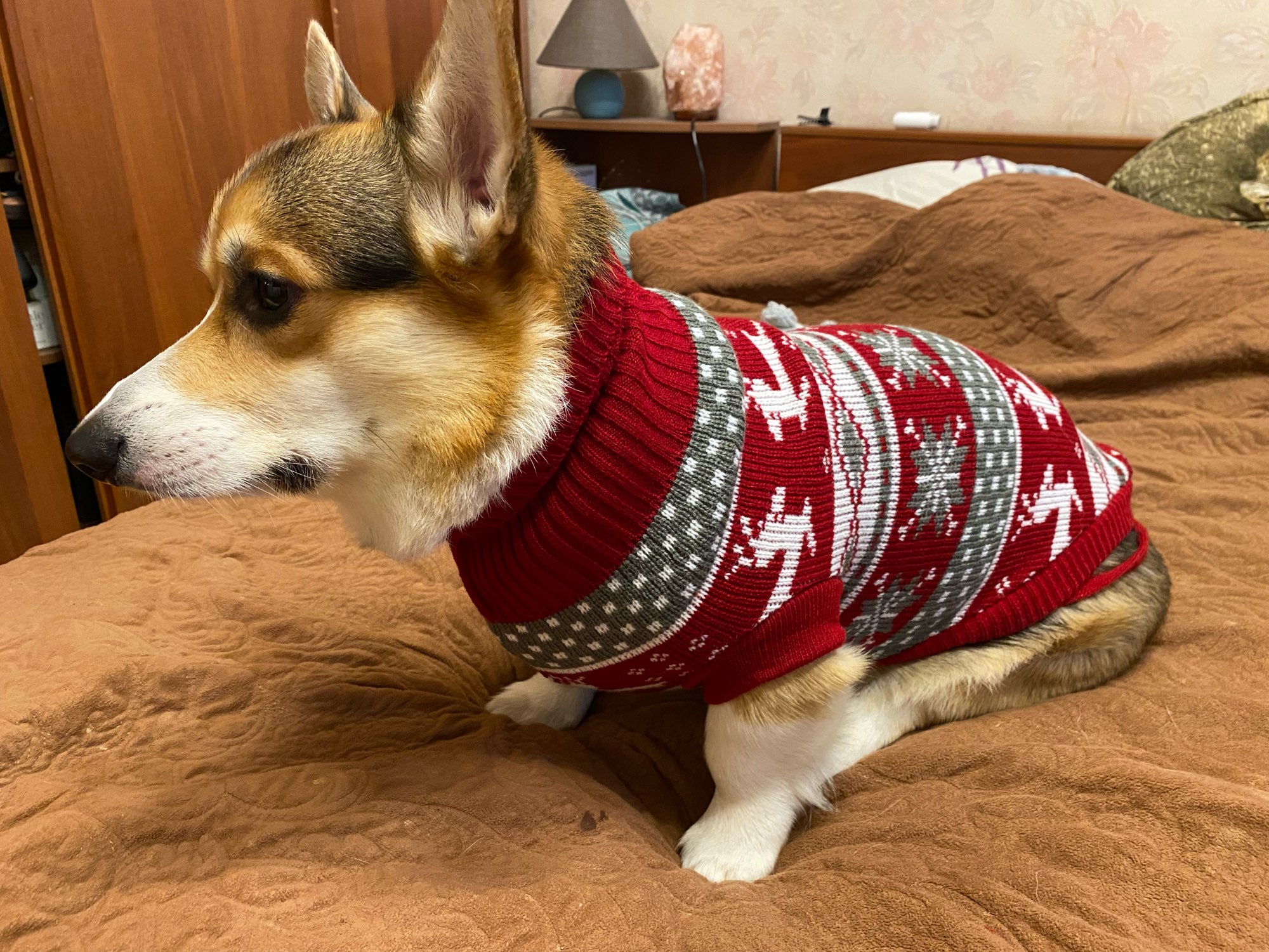 楽天市場】ドッグセーター 犬服 クラシックセーター・ニット・ベスト