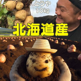 北海道産 新じゃがいも とうや 10kg 100箱限定 L/M/S混 送料無料 黄爵ジャガイモ 芋 いも ポテト 新じゃが 真狩 金丸農園 ニセコ 直送 箱 買い ギフト プレゼント 内祝 誕生祝 出産祝 結婚祝 記念品 お歳暮 御歳暮 寒中見舞 御年賀