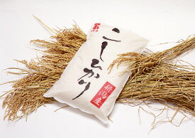 イチコ　オリジナルコシヒカリ（新潟県上越市産）5kg×3袋
