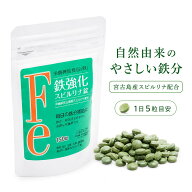 《正規販売代理店》自然由来の優しい鉄分 沖縄 宮古島産 鉄強化 スピルリナ サプリメント ｜沖縄県 宮古…