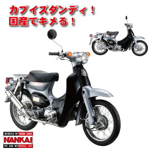 iJC Ju/gJu p[Rv}t[E^Cv1 I[XeX CM-01 NANKAI Ciyz