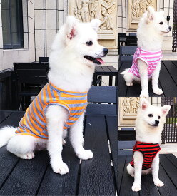 犬 服 春 夏 ボーダー タンクトップ マリン マリンルック シンプル おしゃれ かわいい 涼しい クール 暑さ対策 熱中症対策 安い 着せやすい 小型犬 中型犬