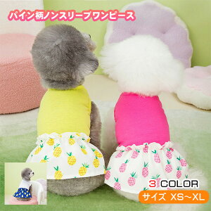   t[c pC s[X mX[u o  킢  ₷ H ~ t  I[V[Y ^ ^ Č