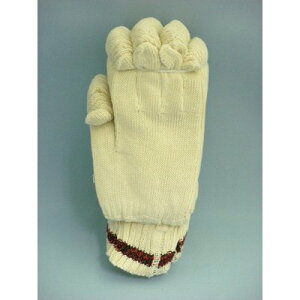 100ȌR@ԍJtX@5{ҁ@750g@{@1_[X@12o