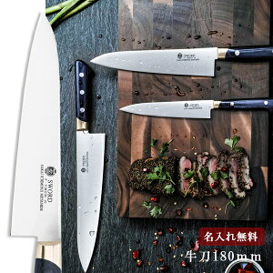yꖳzꕶG FV10  180mm yz  VG10 V10 Lb`  Mtg v[g 蕨 j