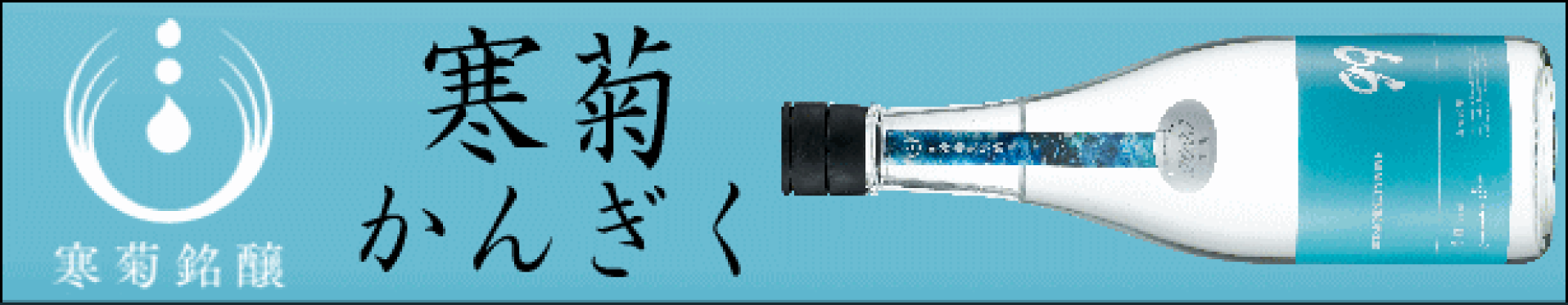 寒菊