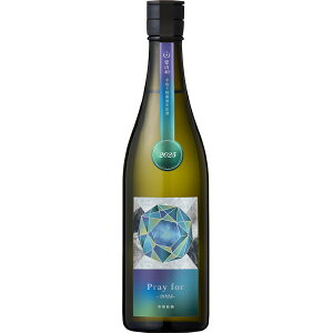 ���e pray for 2025 ���đ��� ���R40 ����� ���h�ߐ����� 720ml