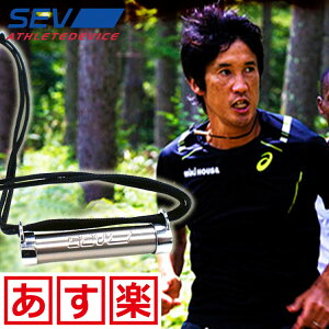 楽天市場 sev ネックレス メタル 磁気ネックレスの通販ほぐしや本舗