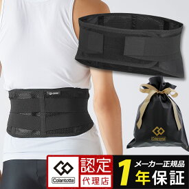 【送料無料】 コラントッテ MAG サポーター 腰 S M Lサイズ 磁気 医療機器 こし こし用サポーター 腰用サポーター 腰痛 対策 日常生活 スポーツ 在宅ワーク リモート 冷え性対策 ギフト プレゼント
