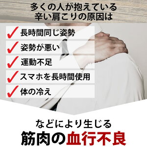 【送料無料】コラントッテネックレスRevolリボル磁気ネックレス医療機器正規品男女兼用新作肩こり首こりおしゃれ在宅テレワーク【延長保証】
