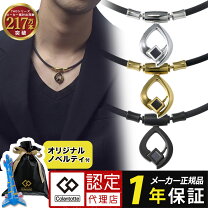 楽天市場】磁気ネックレス TDKの通販