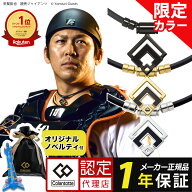 【ポイント10倍 認定代理店】【楽天1位獲得】 コラントッテ TAO ネックレス α ARAN 磁気ネックレス スポ…