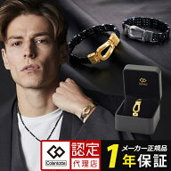 【ポイント10倍 認定代理店】コラントッテ THEO ループ CARO colantotte セオ カーロ 腕用 磁気 正規品 …