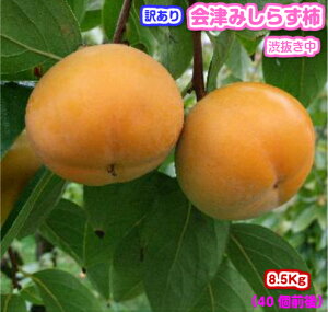 y΂낤Iz󂠂@Â݂炸`iajE`EYiÎᏼsjMtg//Ε/`/JL/a`///󂠂/킯/P//ʕ/t[
