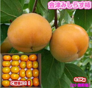 yyMt_̂zy΂낤IzΕɍœKIIÂ݂炸`@E`EYiÎᏼsjMtg//Ε/`/JL/a`////ʕ/t[c