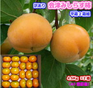 【がんばろう！福島】訳あり　会津みしらず柿平箱2箱・柿・国産（福島県会津若松市）ギフト/贈答/お歳暮/…