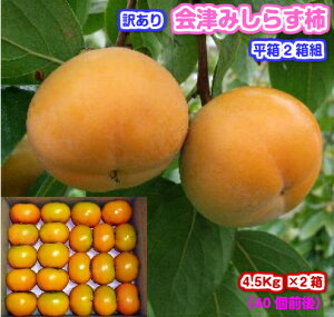 y΂낤Iz󂠂@Â݂炸`2E`EYiÎᏼsjMtg//Ε/`/JL/a`///󂠂/킯/P//ʕ/t[c