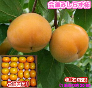 yyMt_̂zy΂낤IzΕɍœKIIÂ݂炸`  2E`EYiÎᏼsjMtg//Ε/`/JL////ʕ/t[c