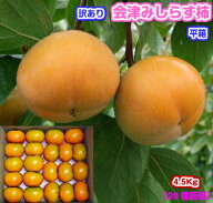 【がんばろう！福島】訳あり　会津みしらず柿平箱・柿・国産（福島県会津若松市）ギフト/贈答/お歳暮/柿/…