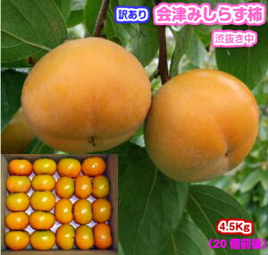 y΂낤Iz󂠂@Â݂炸`iajE`EYiÎᏼsjMtg//Ε/`/JL/a`///󂠂/킯/P//ʕ/t[