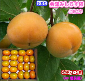y΂낤Iz󂠂@Â݂炸`2iajE`EYiÎᏼsjMtg//Ε/`/JL/a`///󂠂/킯/P//ʕ/t