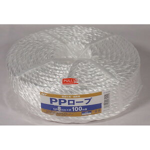 AClbg PP[v 8MMX100M IH-105-810 IH-105-810