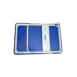 AClbg ^ UD-300 UD-300