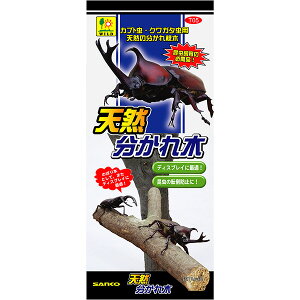 �O�W���� �V�R������� T05