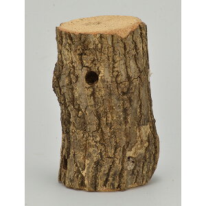 �O�W���� ���I���� T74