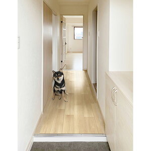 aOrA ybgpL~ x[W 80cm×200cm PRO-0220