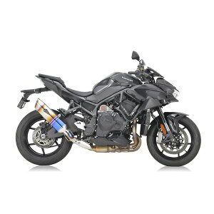 ���C�o�� ���A���X�y�b�N �X���b�v�I�� Z H2�^SE�i�f20�`�j �`�^���h���b�O�u���[ RK38-T3SD �}�t���[ �G�O�]�[�X�g �A�[���Y�M�A �X���b�v�I��