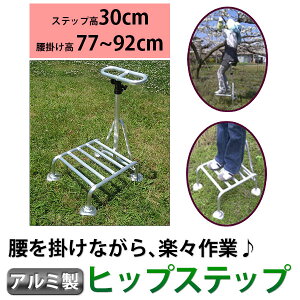 �~�c�� ���|�t�����ݑ� �q�b�v�X�e�b�v hs-30 ���n�A�����ƂɁI�����肪���|���ɂȂ铥�ݑ� �i�A���~��] �i�X�e�b�v30cm/���|77�`92cm�j hs-30